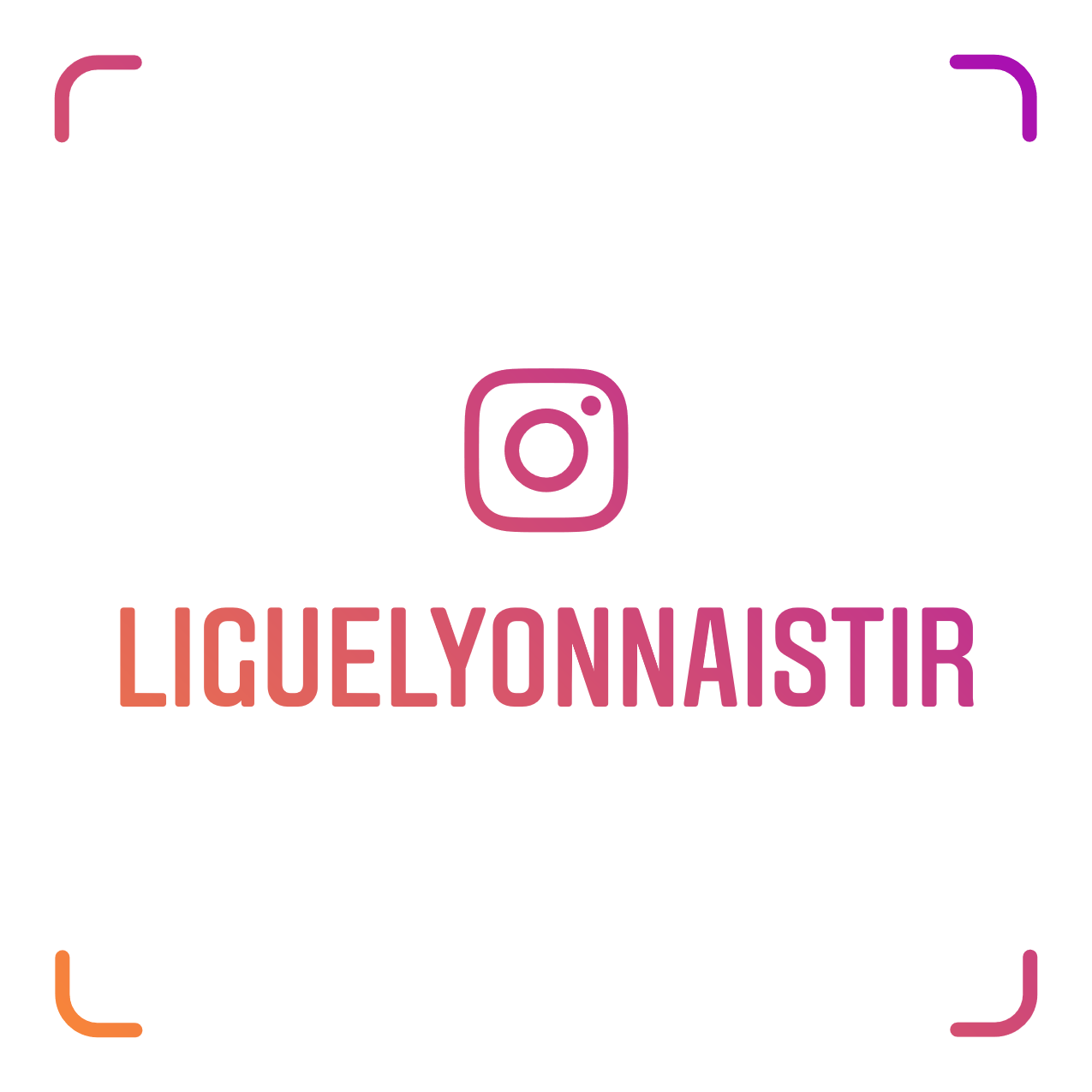 https://www.instagram.com/liguelyonnaistir/