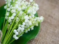 Un Grand Merci à Nos Forces Vives pour ce 1er Mai !